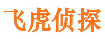 沈河市侦探公司